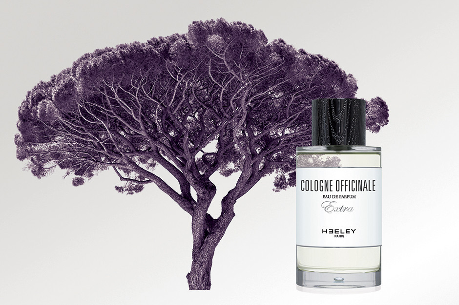 Cologne Officinale - New